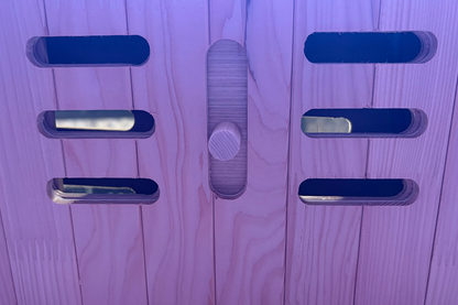 Blisspod Malmo 2-Person Low EMF Infrared Sauna with Red Light Therapy