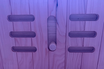 Blisspod Malmo 2-Person Low EMF Infrared Sauna with Red Light Therapy